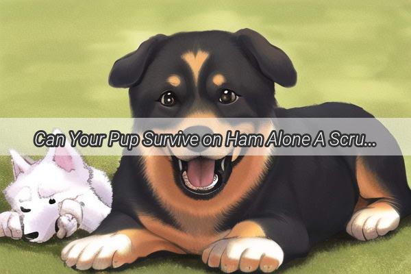 Can Your Pup Survive on Ham Alone A Scrumptious Diet Dilemma